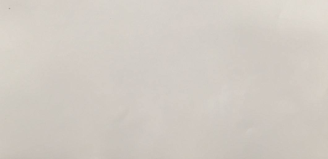 Oracal 651 (White Matte)