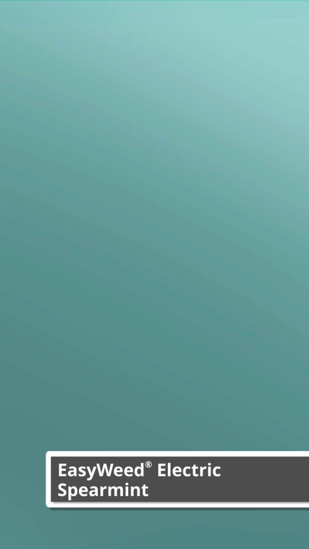 Siser Electric (Spearmint)