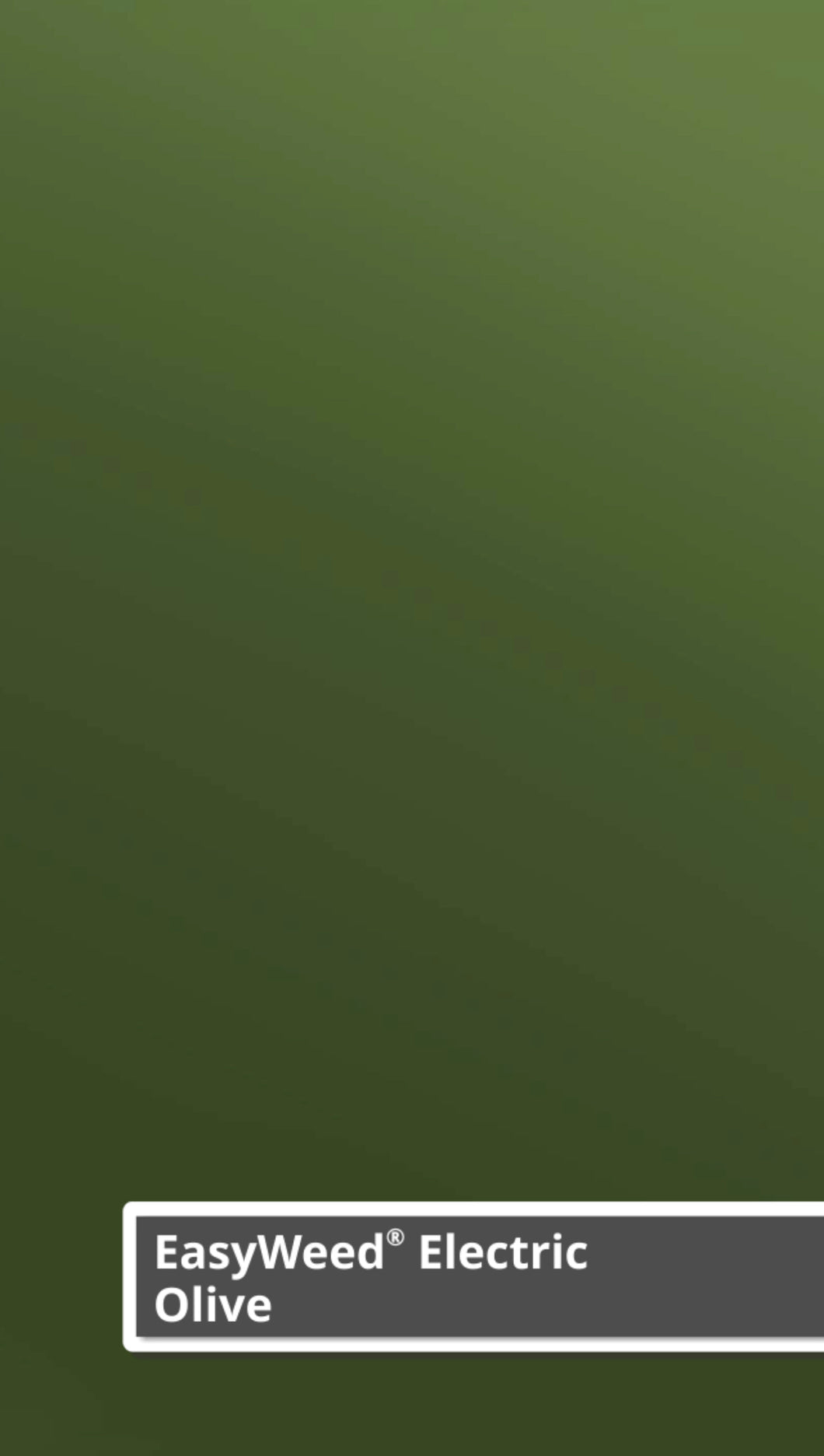 Siser Electric (Olive)
