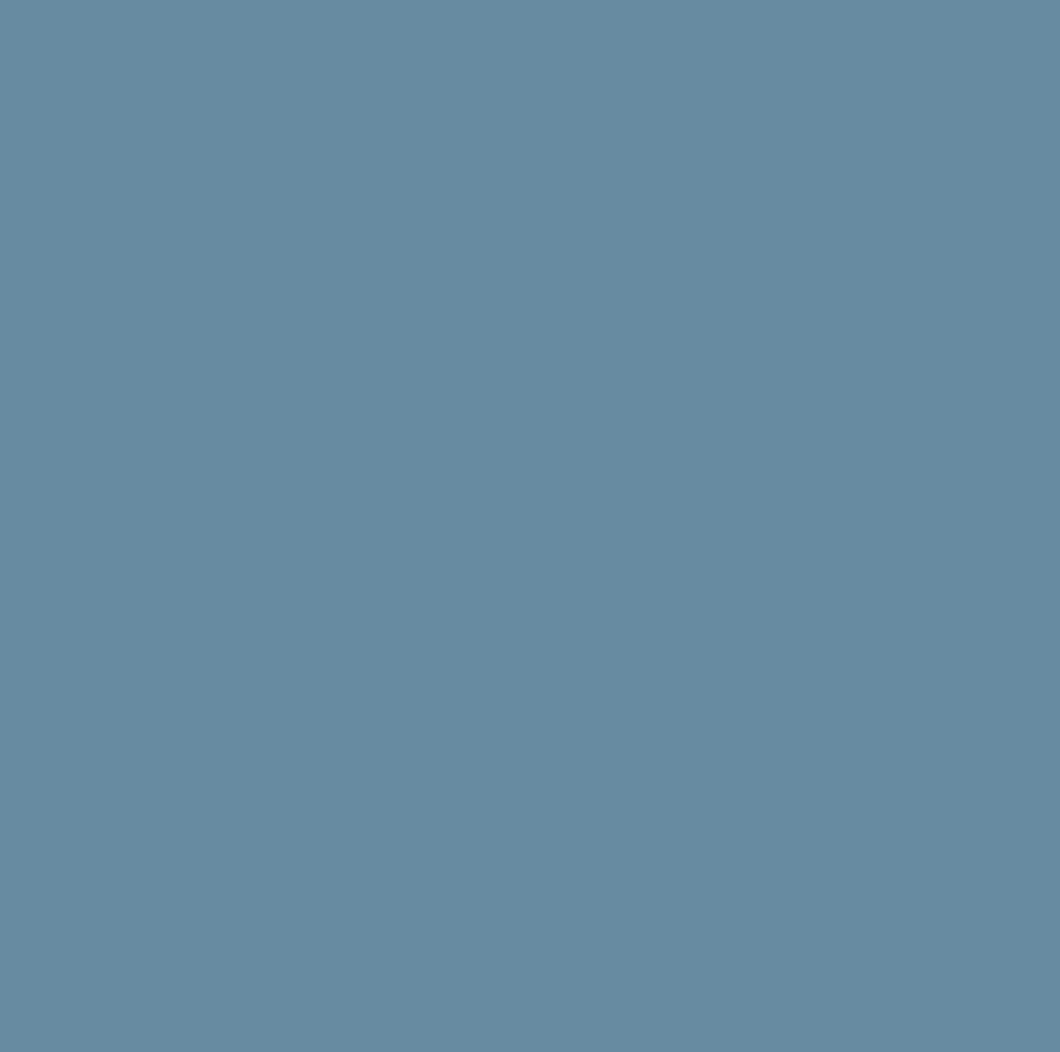 Siser Easyweed (Blue Jean - DISCONTINUED)