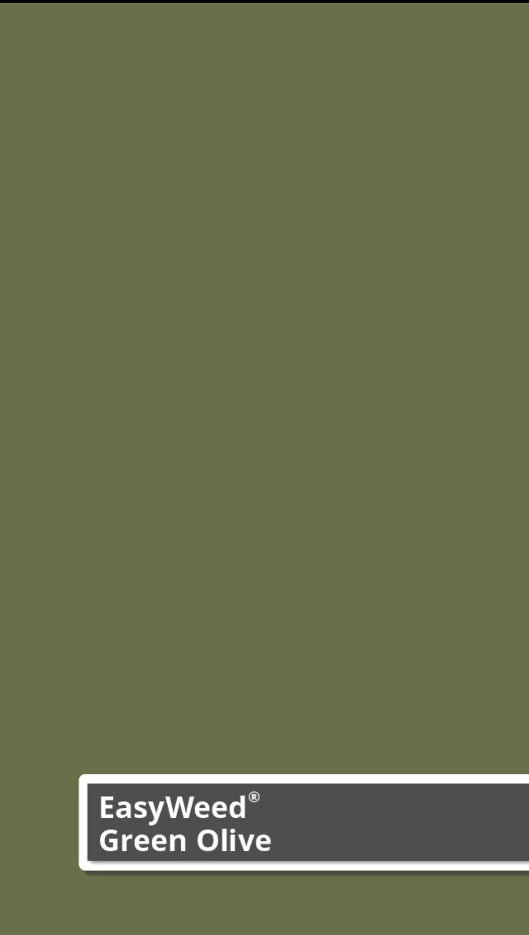 Siser Easyweed (Green Olive)