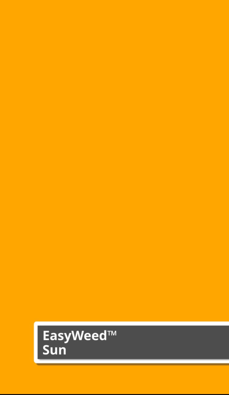 Siser Easyweed (Sun Yellow)