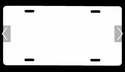 White License Plates (Blank)