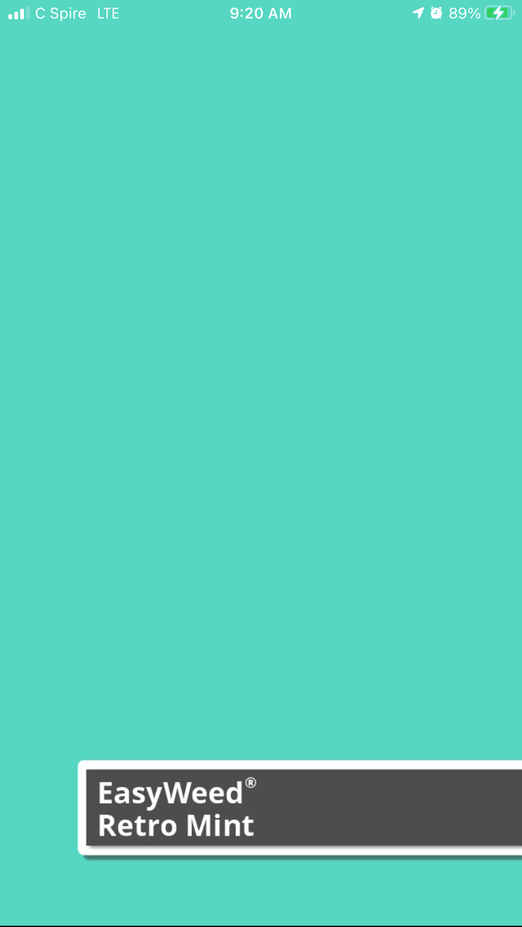 Siser Easyweed (Retro Mint Opaque back)